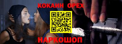 сатива Можга