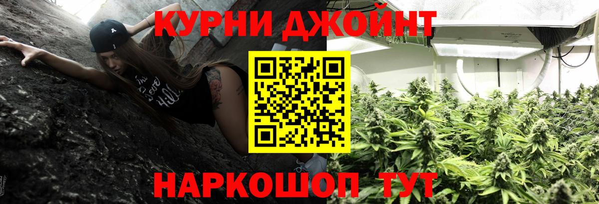 Бошки Шишки конопля Фурманов